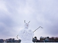 Clapham Snow, Feb 2009
